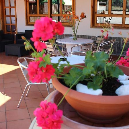 B&B La Vigna Lamezia Terme Eksteriør bilde