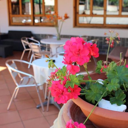 B&B La Vigna Lamezia Terme Eksteriør bilde