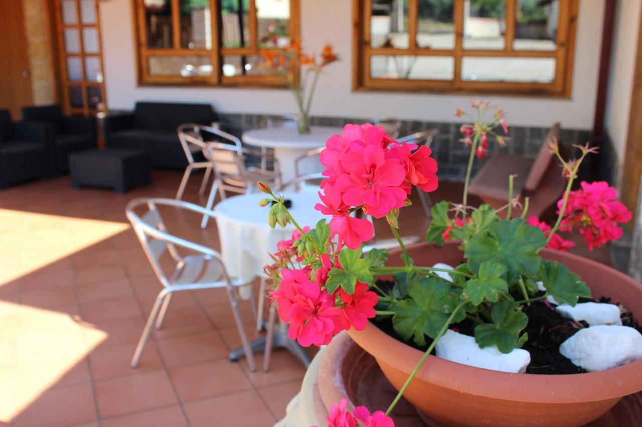 B&B La Vigna Lamezia Terme Eksteriør bilde